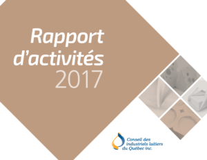 rapport annuel 2017